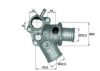 FIAT 7597971 Thermostat, coolant